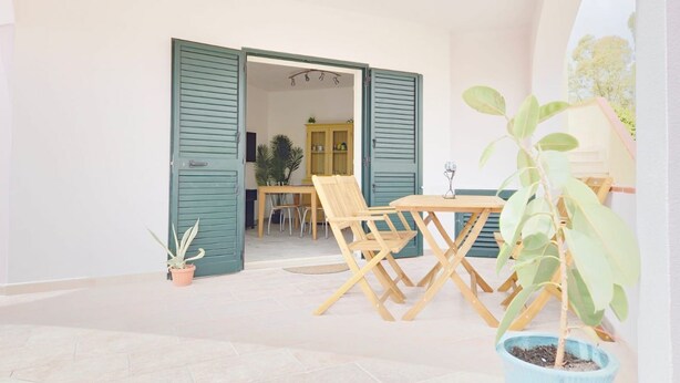 Un espace patio avec une table et des chaises, une plante en pot et une vue sur une pièce où se trouvent un meuble et une plante.