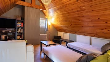 TV, fireplace, DVD player, table tennis