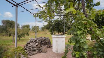 Áreas de la propiedad