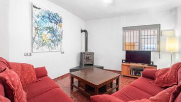 TV, fireplace, DVD player