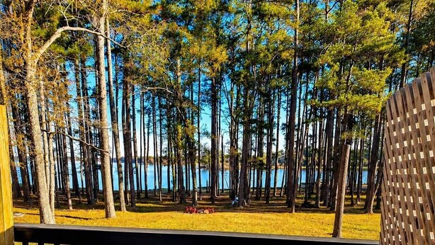 Poreallas, jonka ympärillä on puinen terassi, ja josta avautuu näkymä korkeisiin puihin ja taustalla olevaan vesistöön.