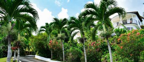 Overnattingsstedets uteområder