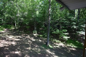 Property grounds - Cozy cabin, 1.5 miles to downtown McCaysville; shops/restaurants & Toccoa River (Blue Ridge)