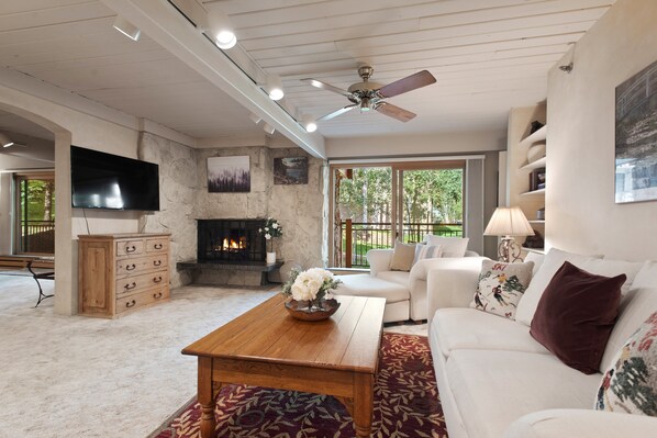 Televisión, chimenea, libros y videoteca