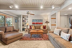 TV, fireplace, books, video library