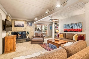 TV, fireplace, books, video library