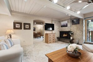 Televisión, chimenea, libros y videoteca