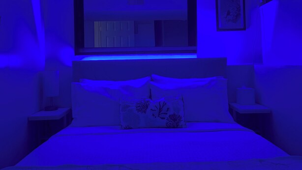 A bedroom with a bed, a nightstand, a wall-mounted TV, and a framed picture. - 1 bedroom apartment in ground floor very nice and close to everything  (Jamaica)
