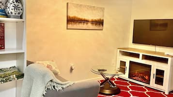 Smart TV, fireplace, books