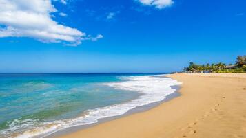 Sun loungers, beach towels