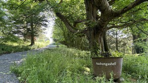 A gravel path flanked by lush greenery and a large tree. A metal planter labeled "Auchengasshell" is placed on the path. - Auchengashell - sleeps 8 guests  in 4 bedrooms (Kirkcudbright)