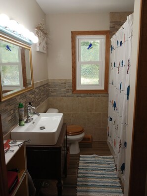 Hiustenkuivaaja, pyyhkeet, saippua, sampoo