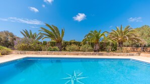 Une piscine d’un bleu éclatant, de forme étoilée au centre, entourée de palmiers et de verdure.