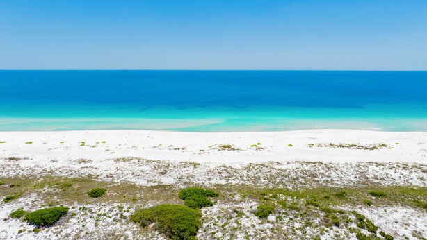 Ein Strand mit weißem Sand und grüner Vegetation.