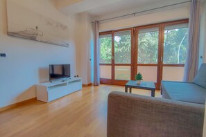 Fernseher