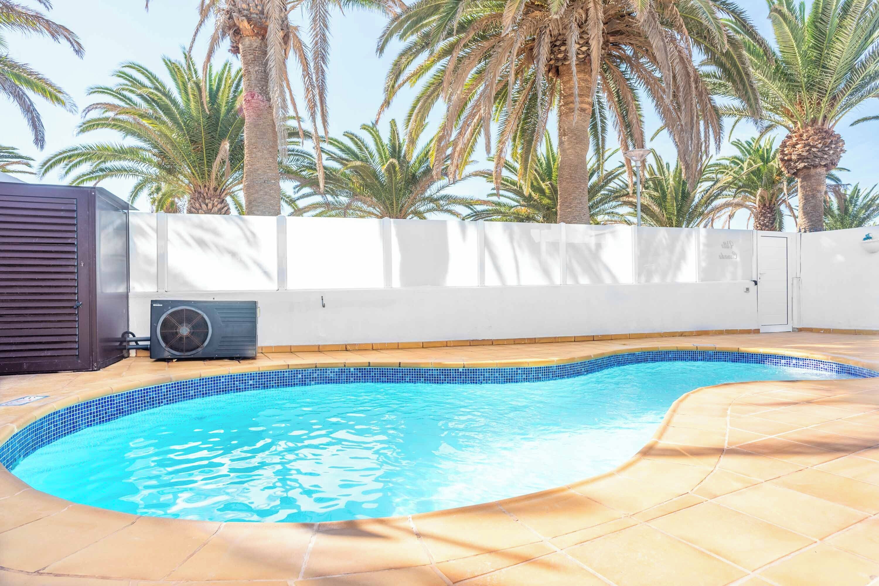 Une piscine dont le bord est recouvert de carreaux, entourée de palmiers et bordée d’un mur blanc.