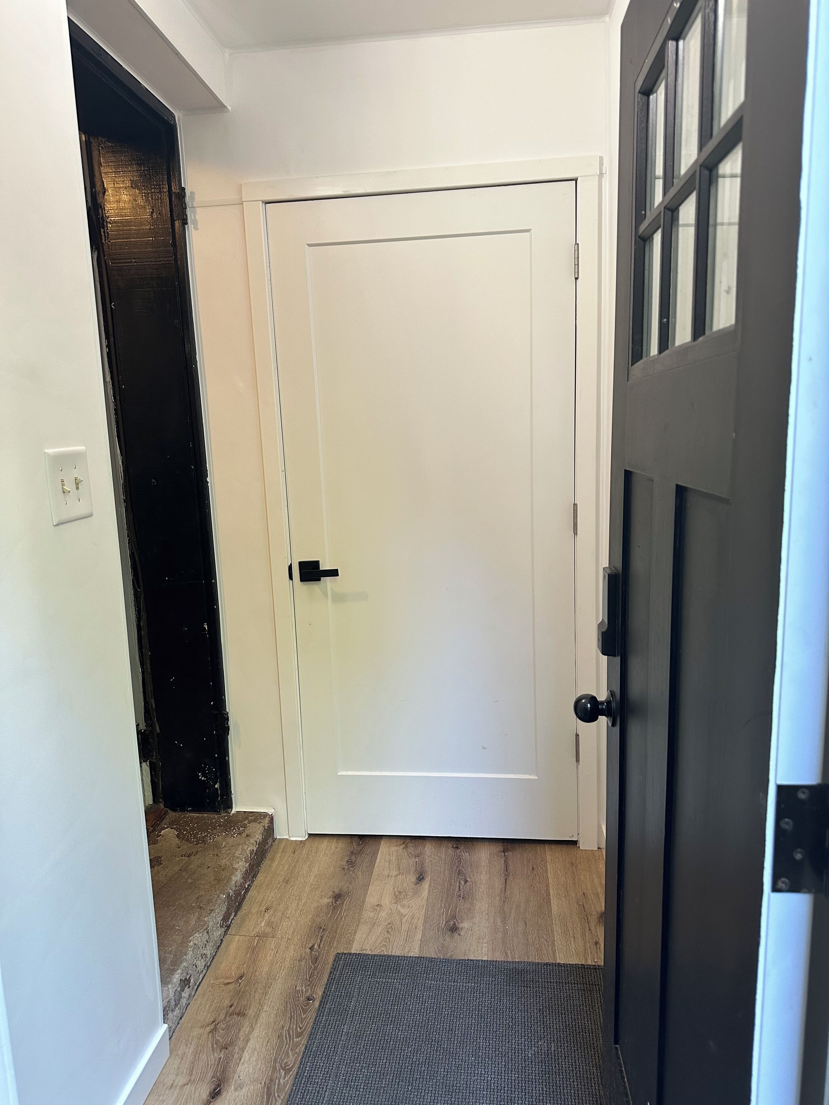 A hallway with a white door, a black door, and a wooden floor.