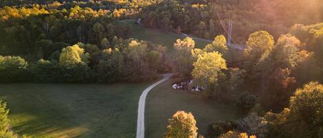 An aerial view of a forested area with a winding path.