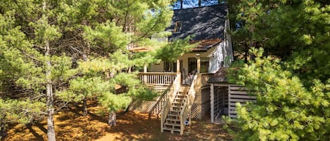 A cabin surrounded by dense pine trees, with a wooden deck and a staircase leading to the entrance.
