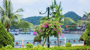 A landscaped area with a lamp post, palm trees, and a view of boats on water. - Gem Hostel (Hai Phong)