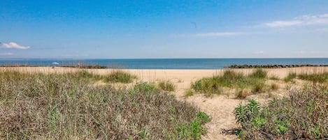 Playa en los alrededores