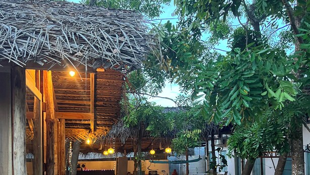 A rustic wooden structure with a thatched roof, surrounded by potted plants and trees. - Cactus Arugambay (Arugam Bay)