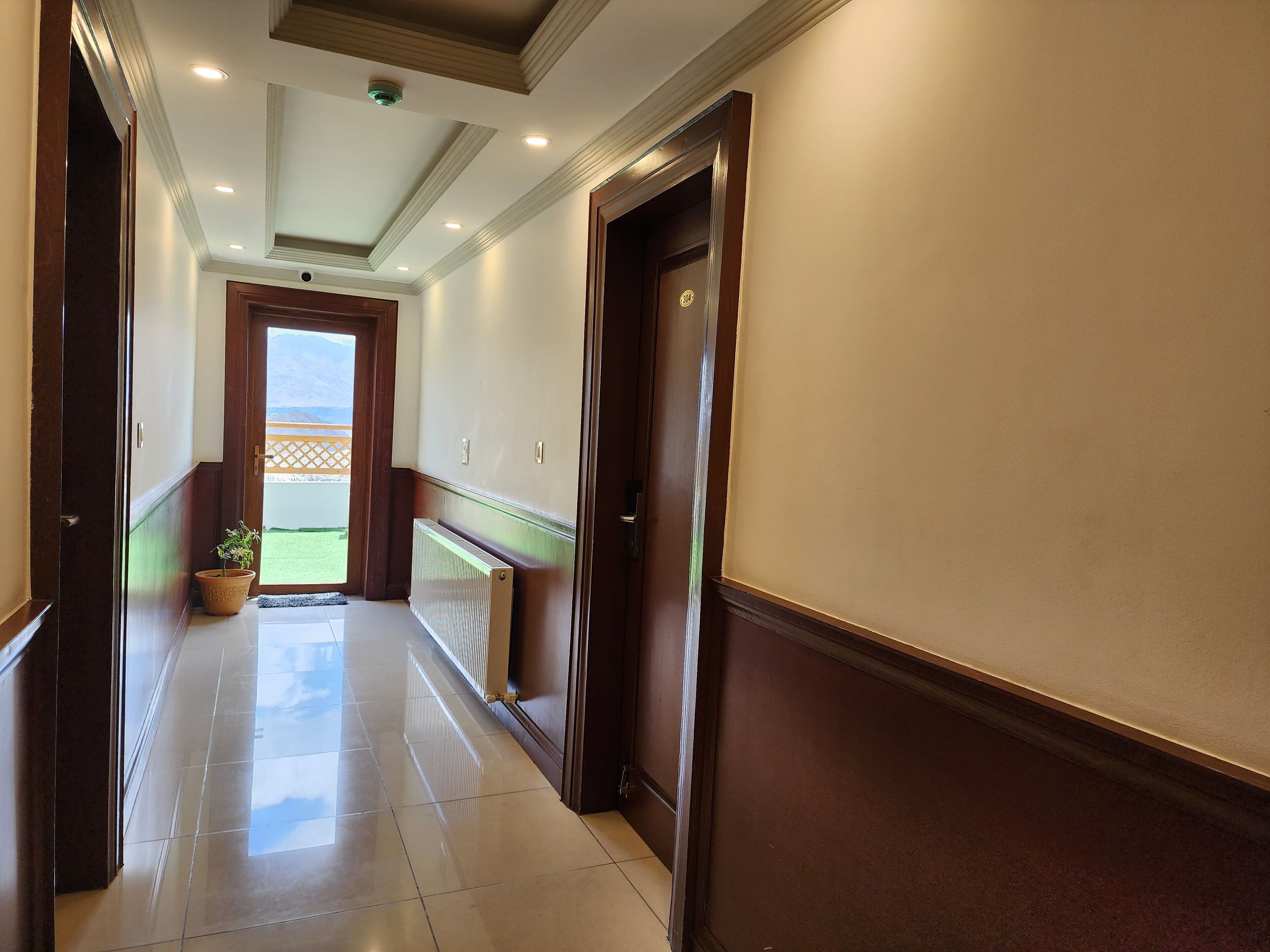 A hallway with a wooden door, a radiator, and a potted plant.