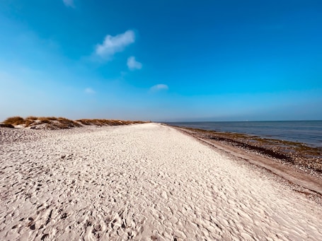 Beach nearby. Studio Apartment 'Am Seefischmarkt' with Wi-Fi
