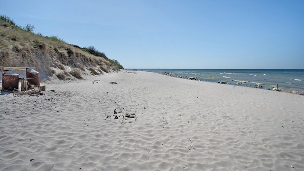 Une plage de sable, un ciel dégagé, quelques plantes à gauche et l’océan à droite.