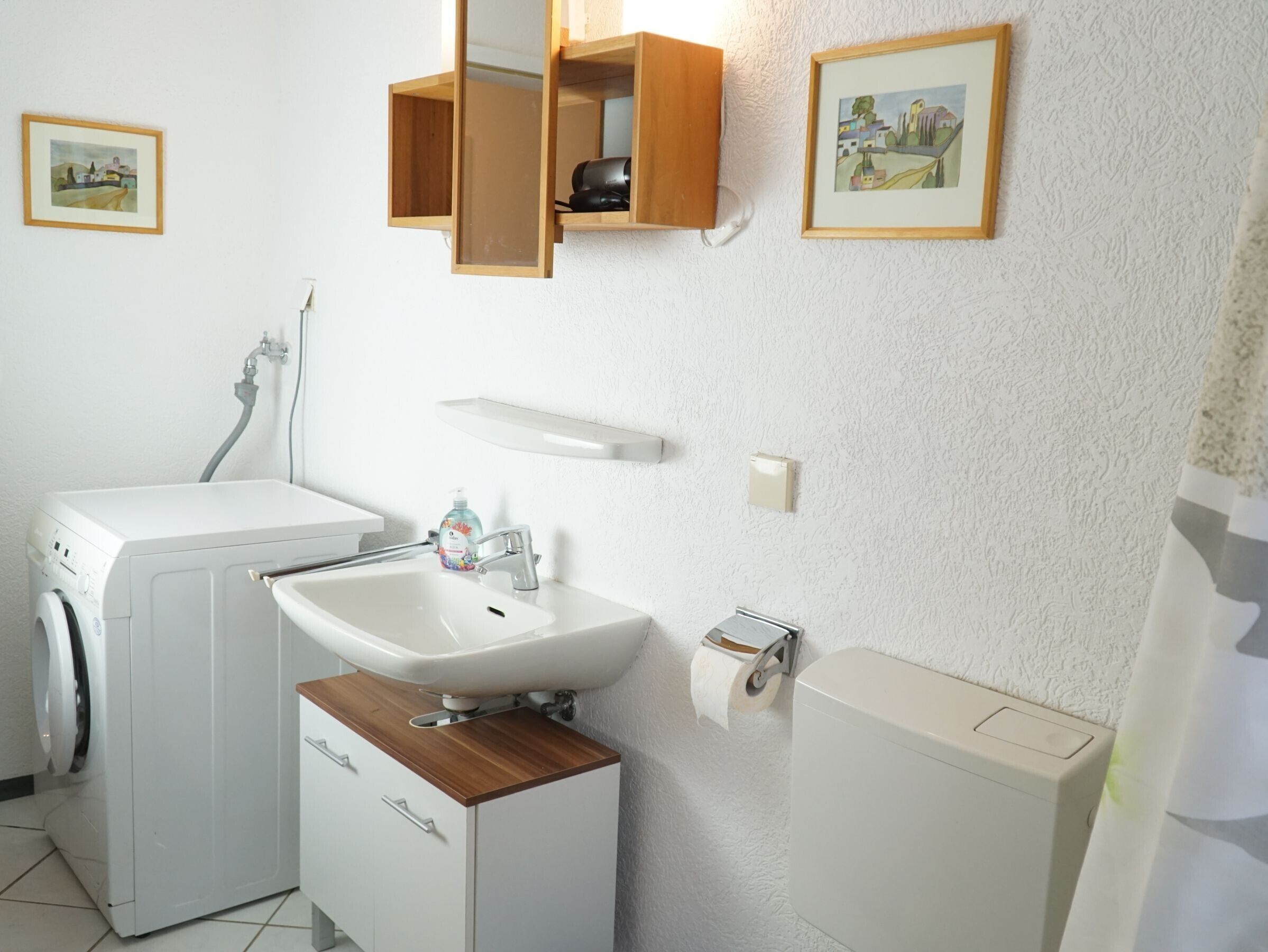 Ein Badezimmer mit Waschmaschine, Waschbecken, Toilette und zwei gerahmten Bildern an der Wand.