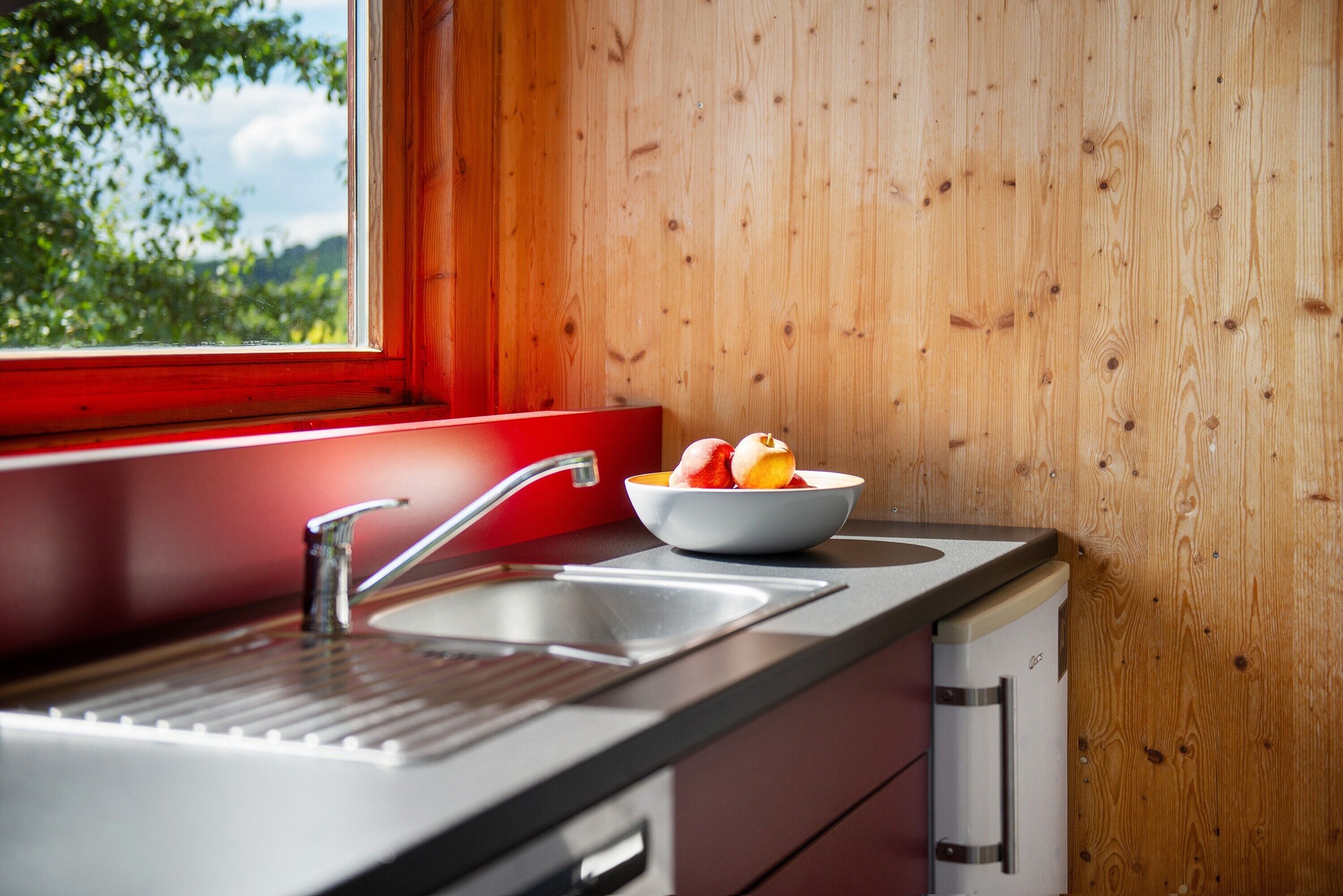 Refrigerador, microondas, parrilla de estufa y lavavajillas 