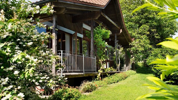 Une maison en bois dotée d’un porche, entourée d’une végétation luxuriante et de plantes en fleurs.