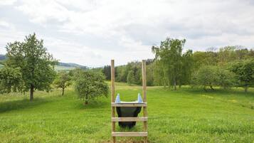 Área infantil