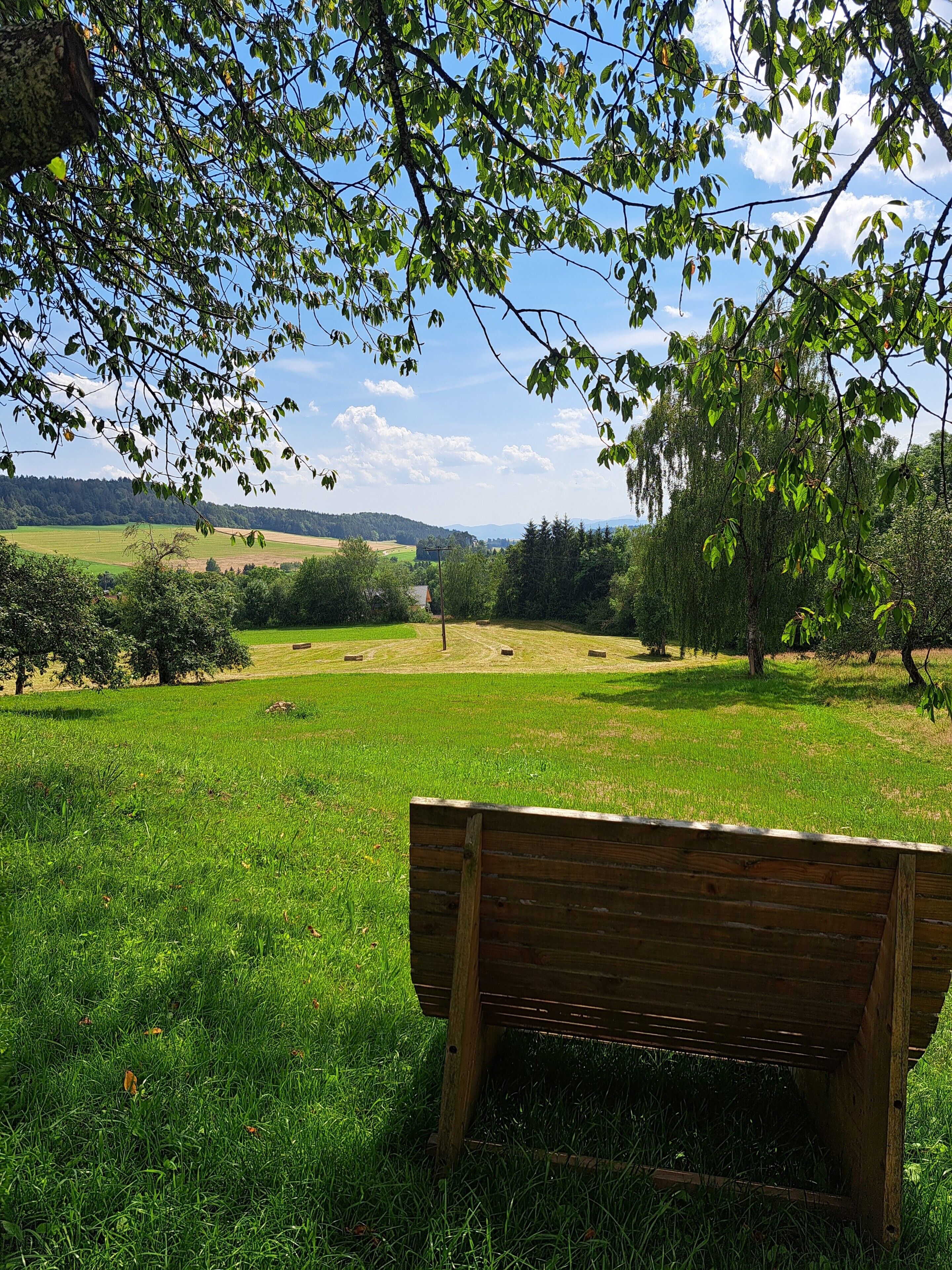 Eine Bank in einer grünen Wiese mit Blick auf eine entfernte Landschaft.