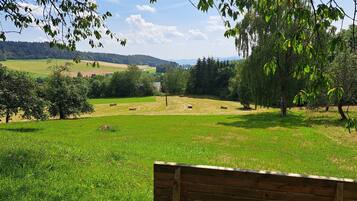 Eine Bank in einer grünen Wiese mit Blick auf eine entfernte Landschaft.