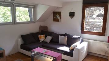 Una televisión, un reproductor de DVD