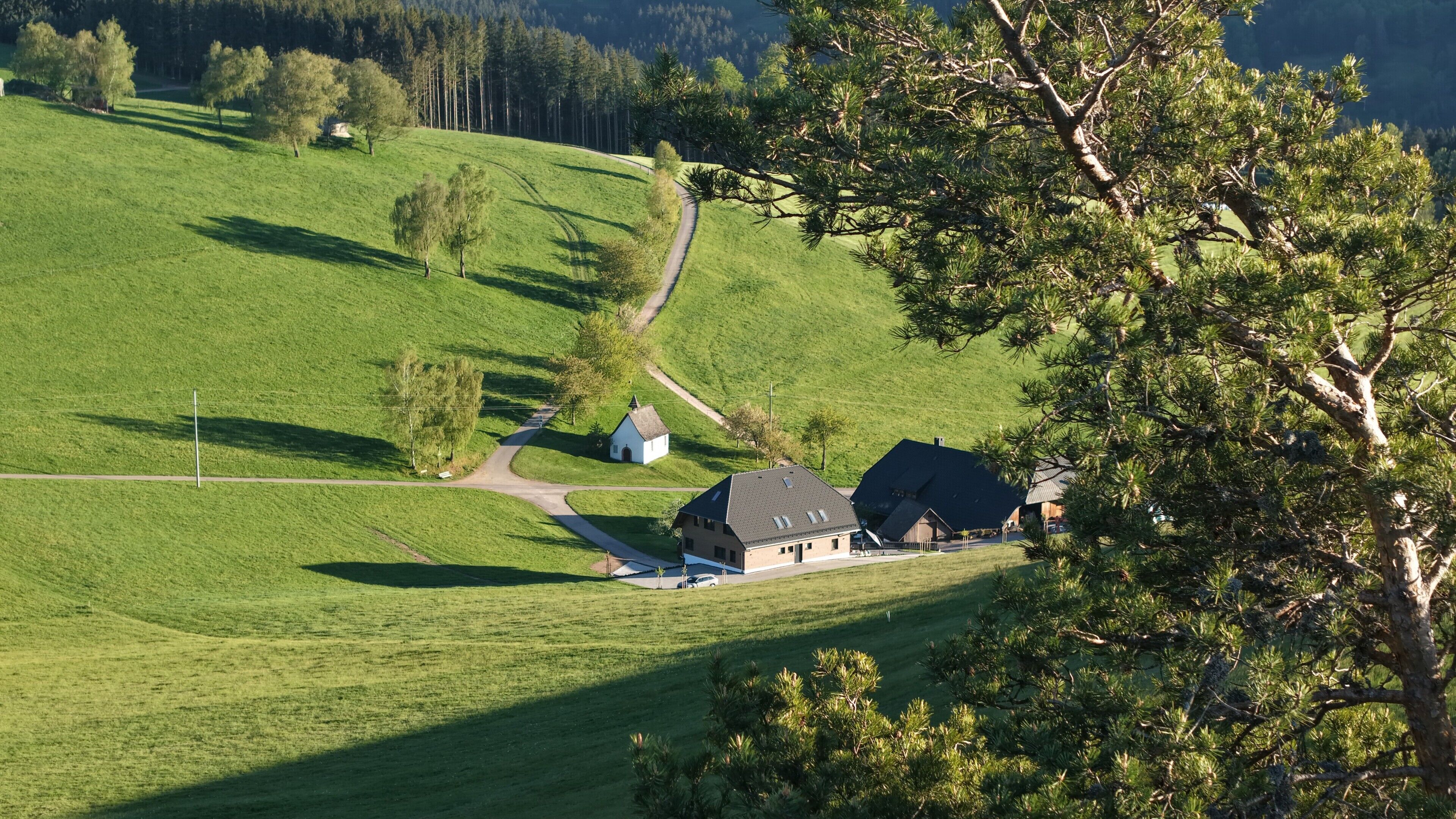 Landskab med et hus, en mindre bygning og et træ.