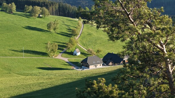 A rural landscape with a house, a small building, and a tree. - Apartment 'Kapellen Blick' with Mountain View, Shared Terrace and Wi-Fi (Triberg im Schwarzwald)