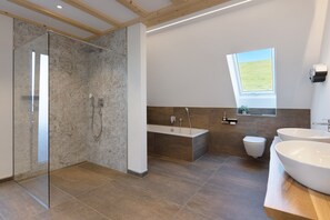 Ducha, secador de pelo, toallas