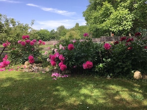 A garden with flowering plants and a stone wall.