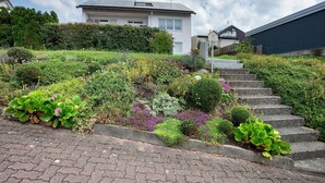 Una zona residencial con una casa, un jardín con diversas plantas y un conjunto de escalones de piedra que conducen a un nivel superior.