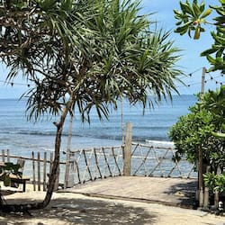 Vue sur la plage/l’océan