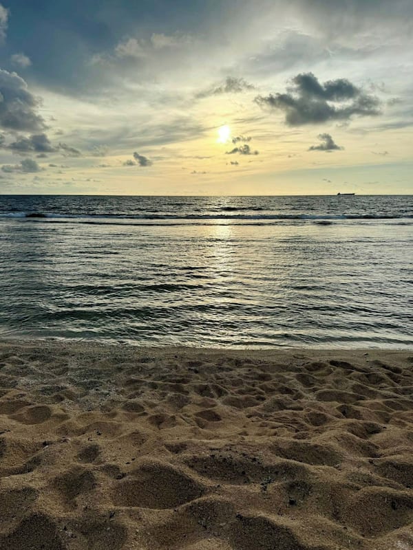 Vue sur la plage/l’océan