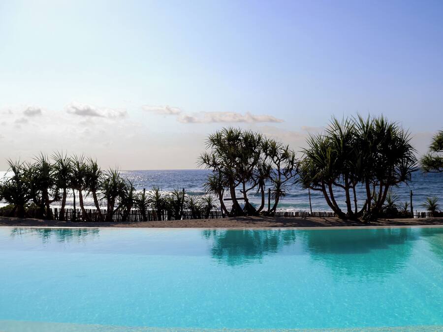 A clear blue pool with a view of the ocean and palm trees.