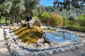 Property grounds - Peaceful Villa at Apanema Mindfulness Lefkada (Sfakiotes)