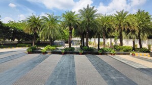 A paved walkway lined with palm trees and potted plants, leading to a building with a white wall and a glass entrance. - V Club Sohna Road (Gurugram)