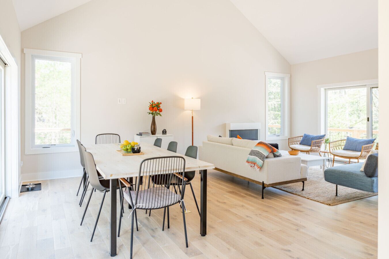 Smart TV, fireplace, ping pong, books