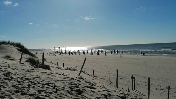 A sandy beach with wooden posts and dunes. - Tinyhaus "carpe Diem" (Dirkshorn)