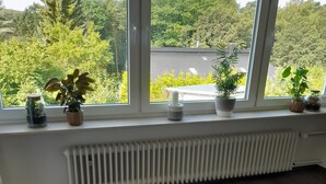 Een kamer met een groot raam, houten vloer, een radiator en verschillende potplanten op de vensterbank.