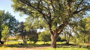 3 soveværelser, strygejern/strygebræt, Wi-Fi, sengetøj